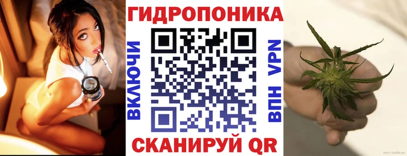 Купить  Киселёвск  Бошки Шишки тримм 